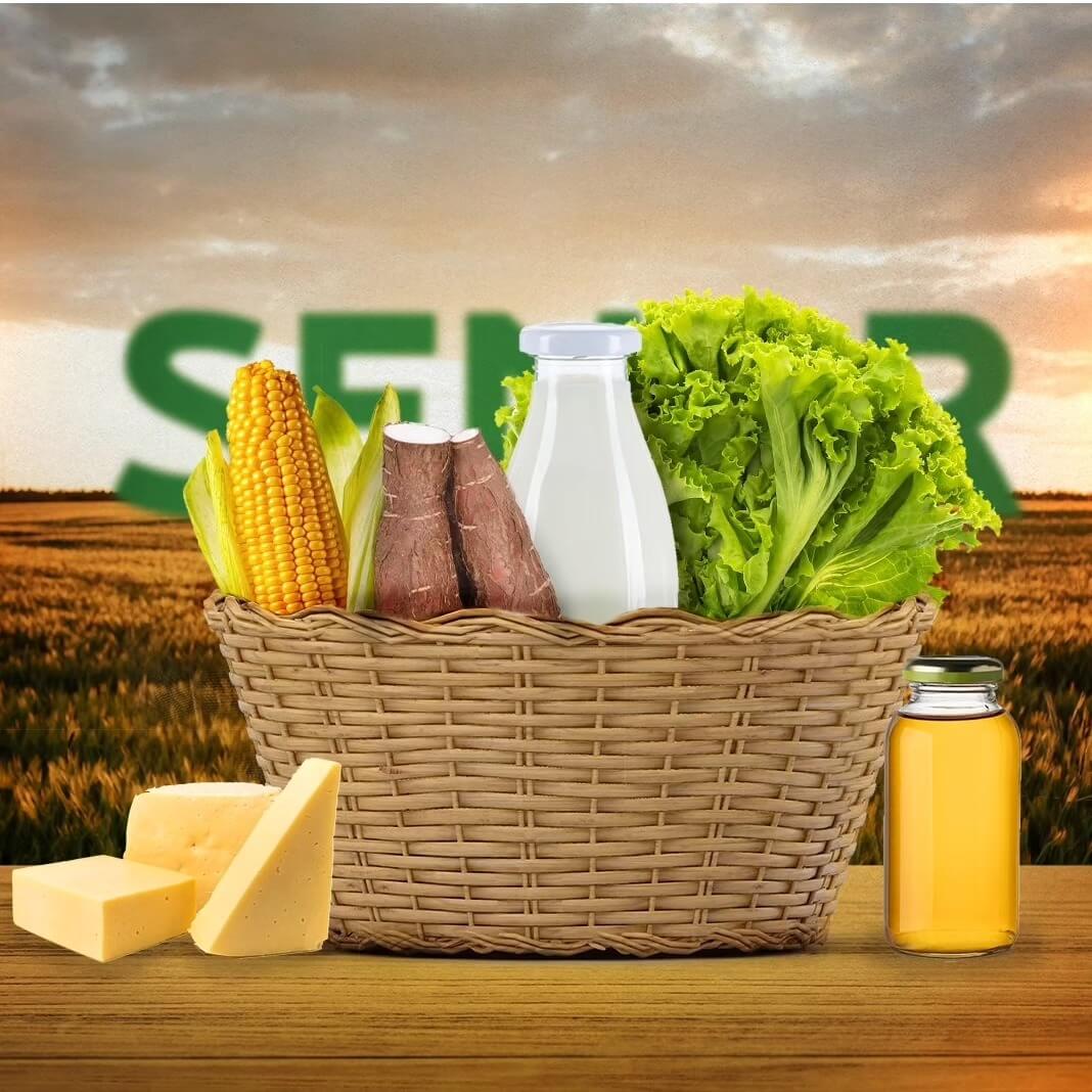 senar-tocantins-slider1